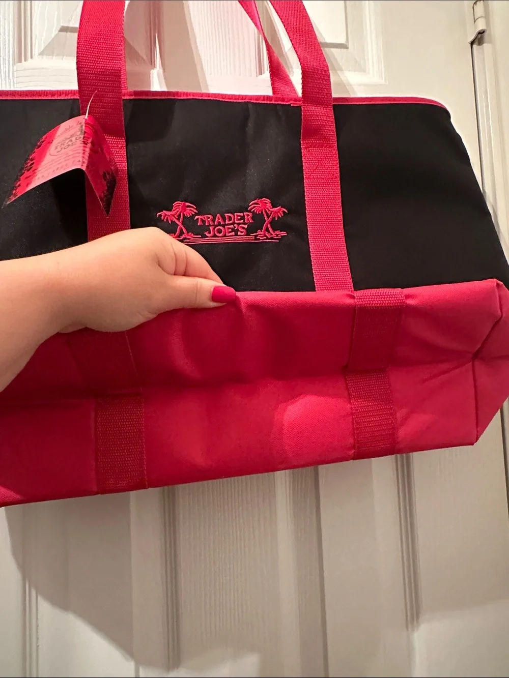 Trader Joe's Black & Red Insulated Grocery Tote